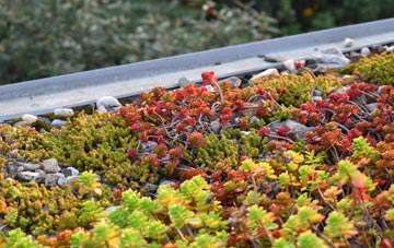 the cost of Ceann A Muigh Chuil green roof installation